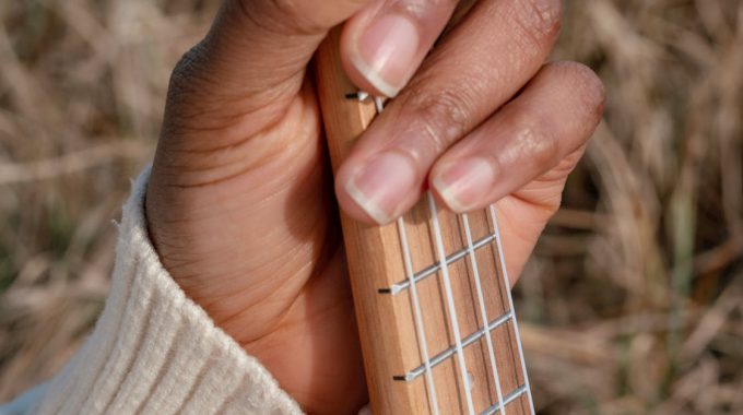 Advanced ukulele chord embellishments