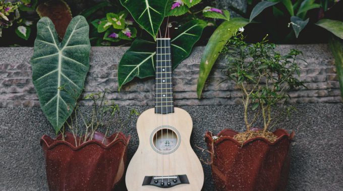 Why ukulele is for self-confidence