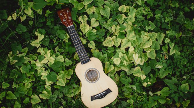Why ukulele is necessary