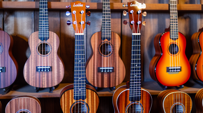 Lanikai ukuleles for sale