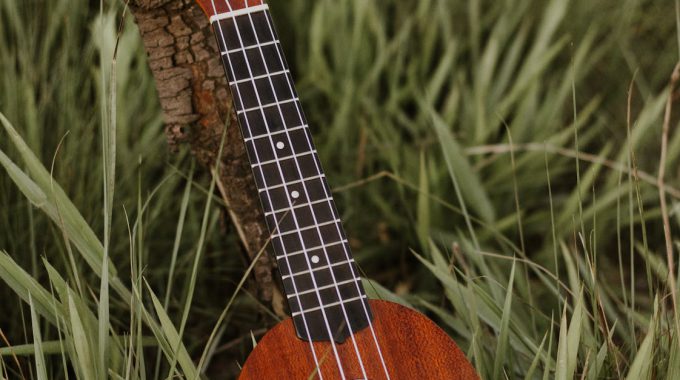 Ukulele in Hawaii