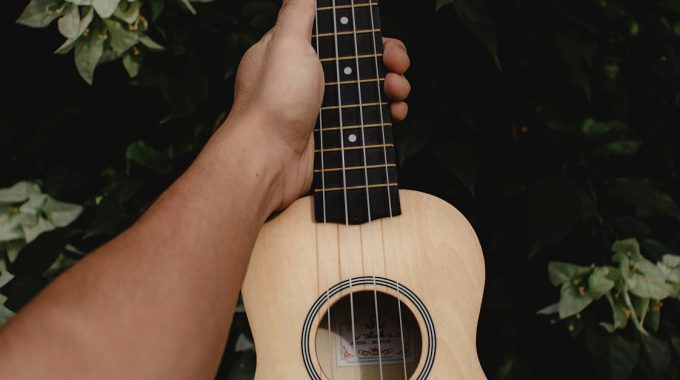 Ukulele beginner’s workbook