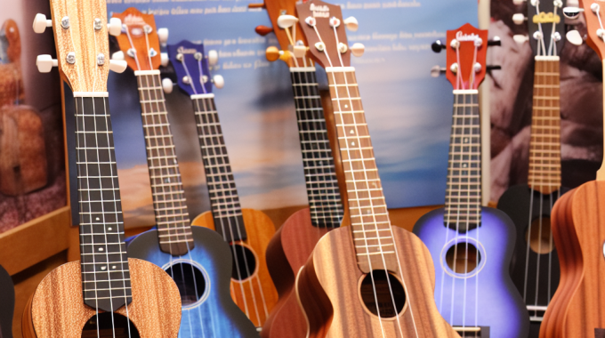 Best concert ukuleles for beginners