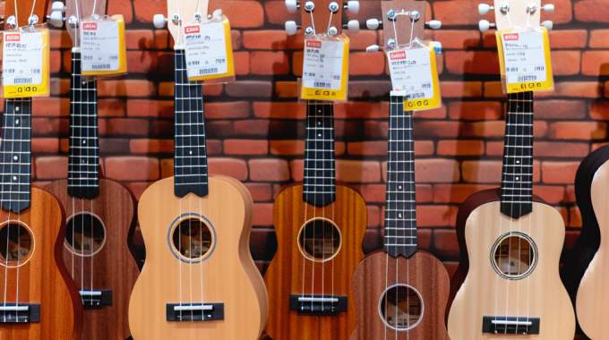 Budget-friendly ukulele options