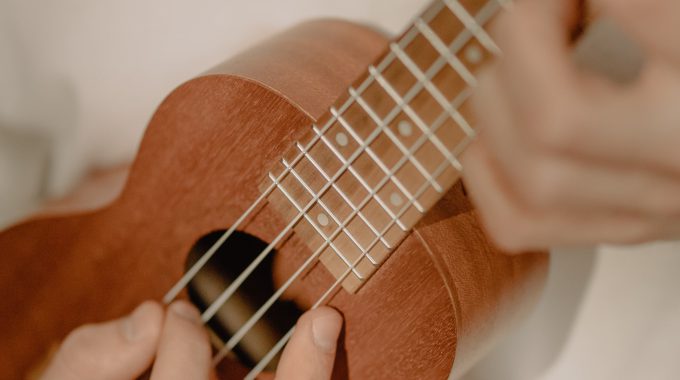 Parent-child ukulele community service projects