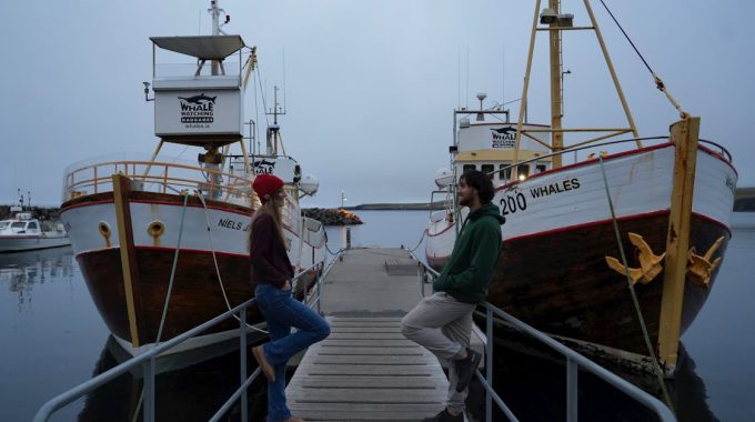 Ukulele in Iceland